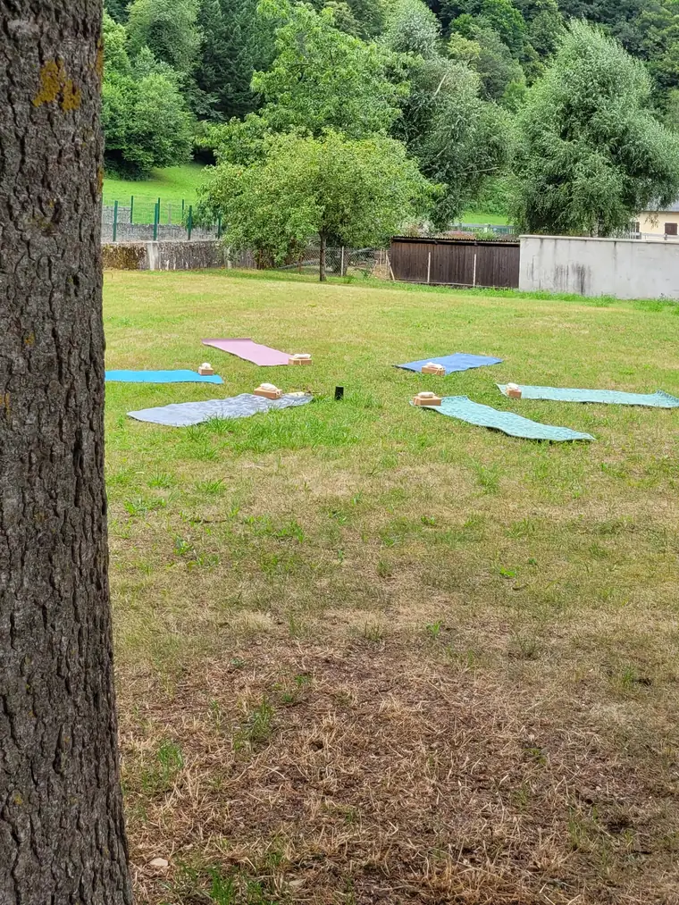 Tapis posés dans l’herbe au pied d’un grand pin, collines boisées en arrière-plan