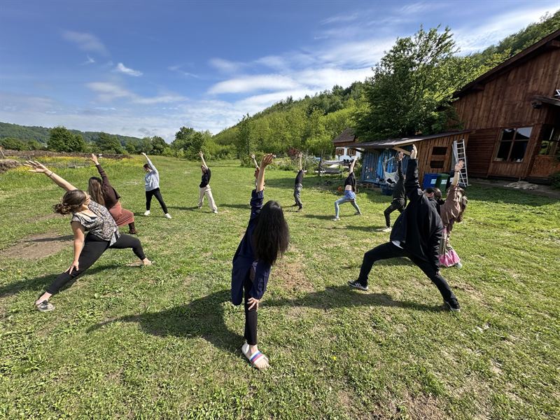 A group in reverse warrior on a meadow, near a wooden house