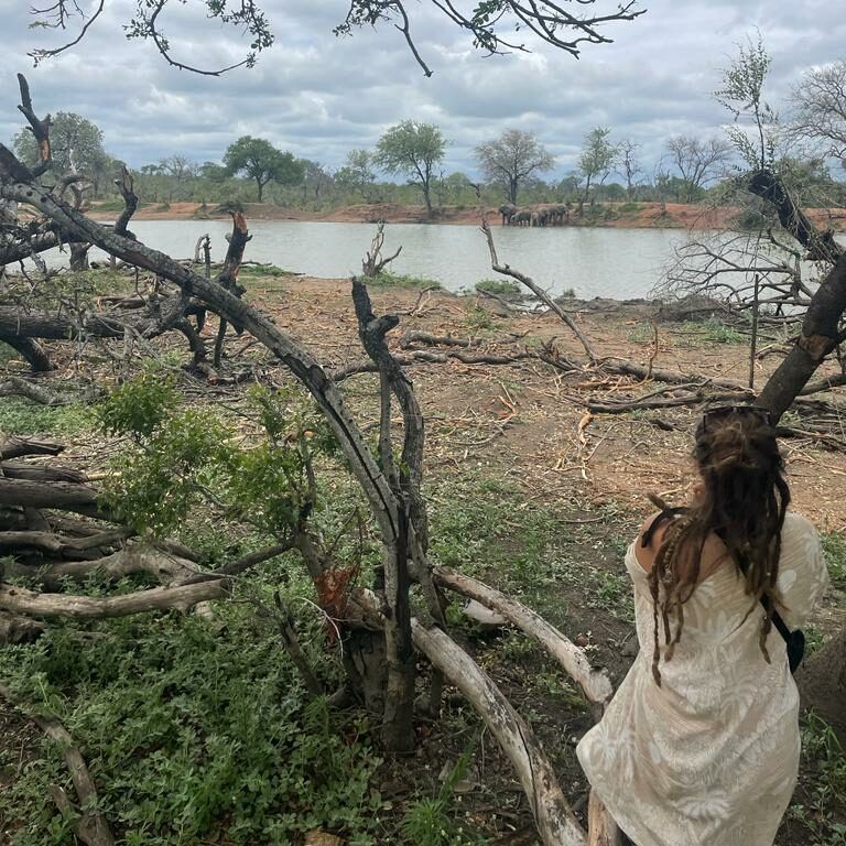 Une femme en robe blanche contemple une rivière, à travers les branches du bush