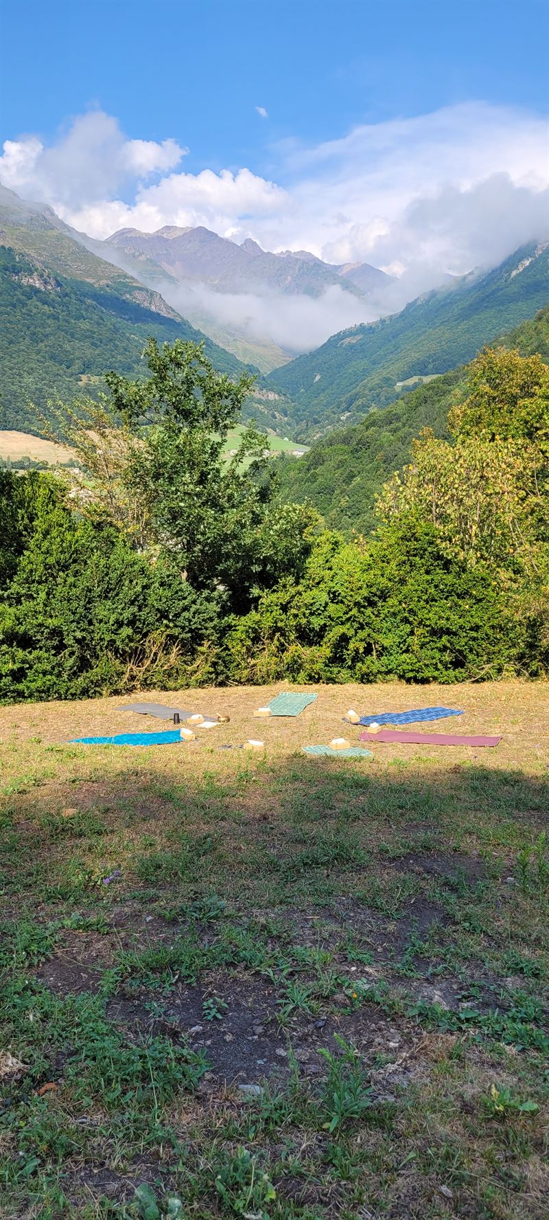 A mat rolled out in a meadow, facing forests and snowy peaks