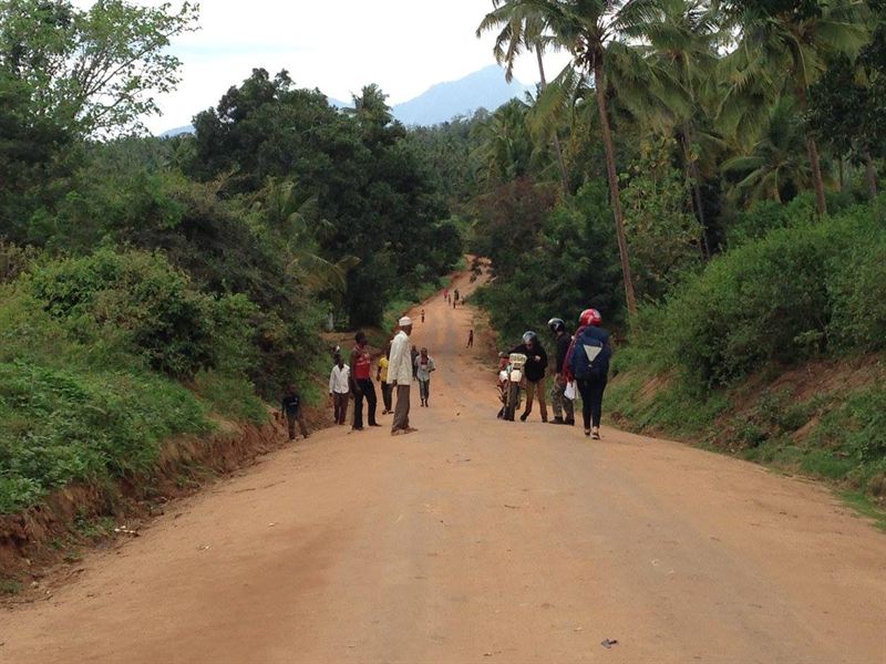 A red dirt road lined with trees, with a few walkers, in Africa
